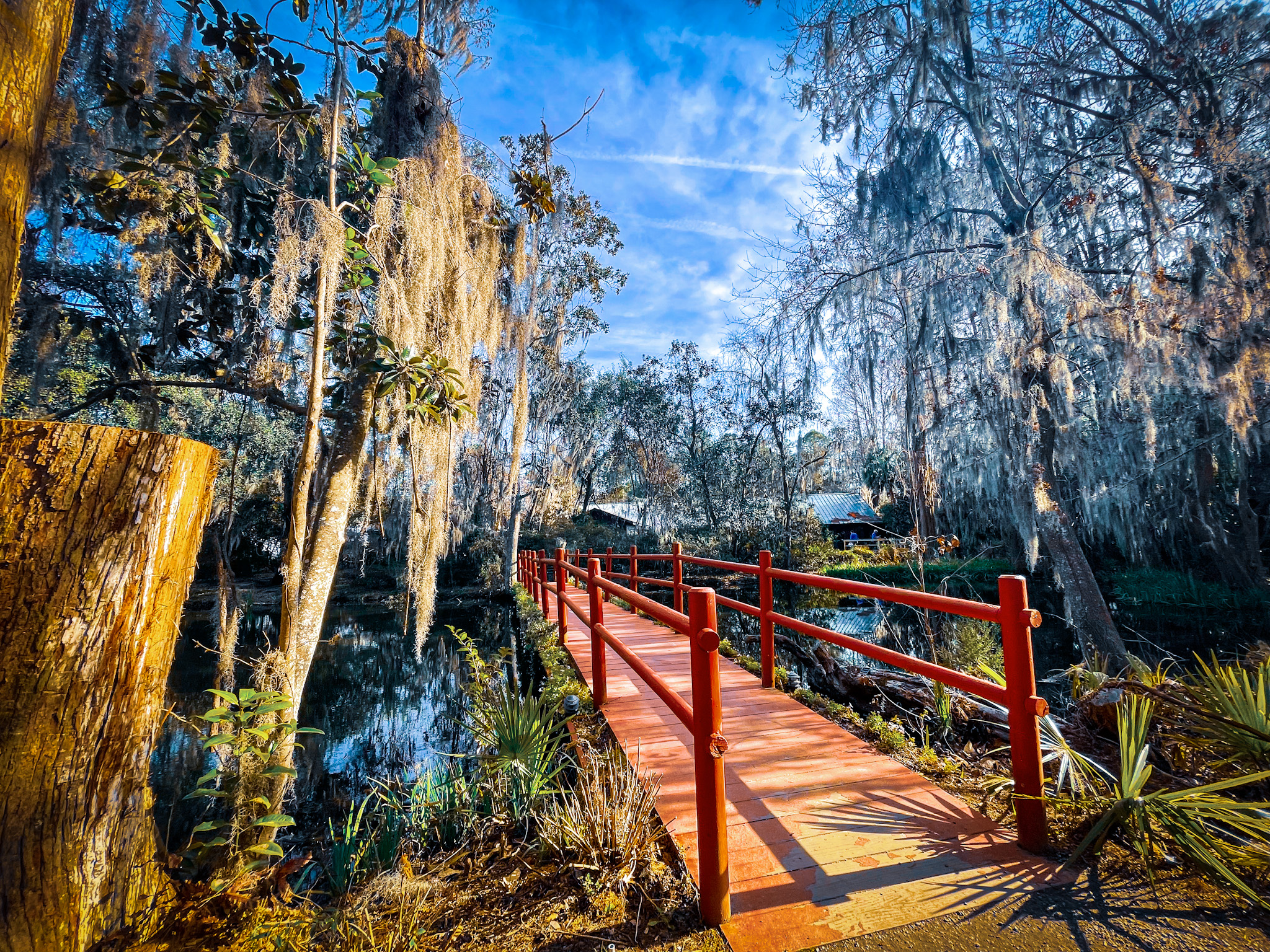 Red Bridge at Magnolia Plantation in Charleston, South Carolina